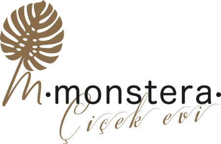 Monstera Çiçek Evi